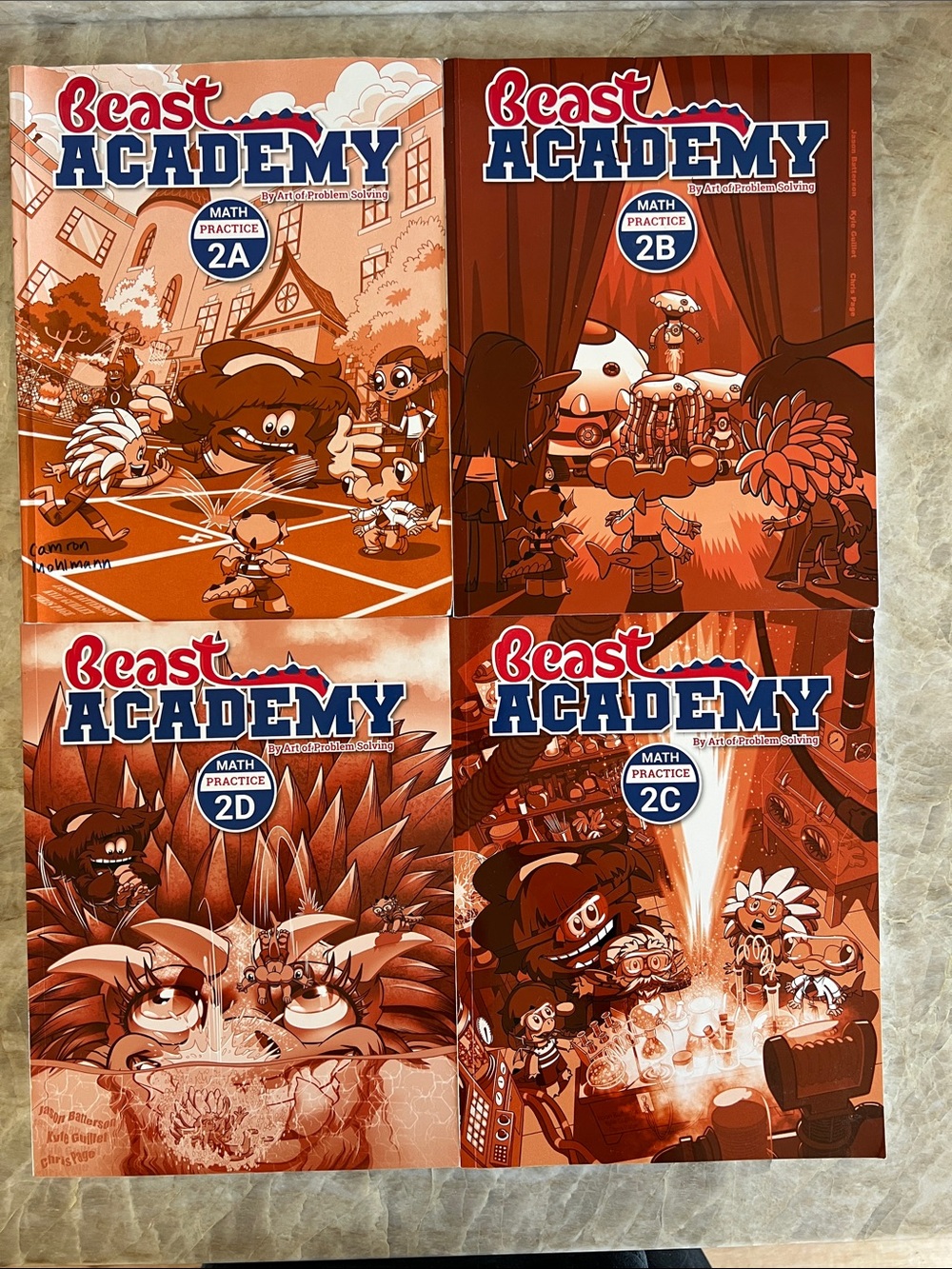 Beast Academy math grade 2 curriculum 2024 print **practice books A and B used**
